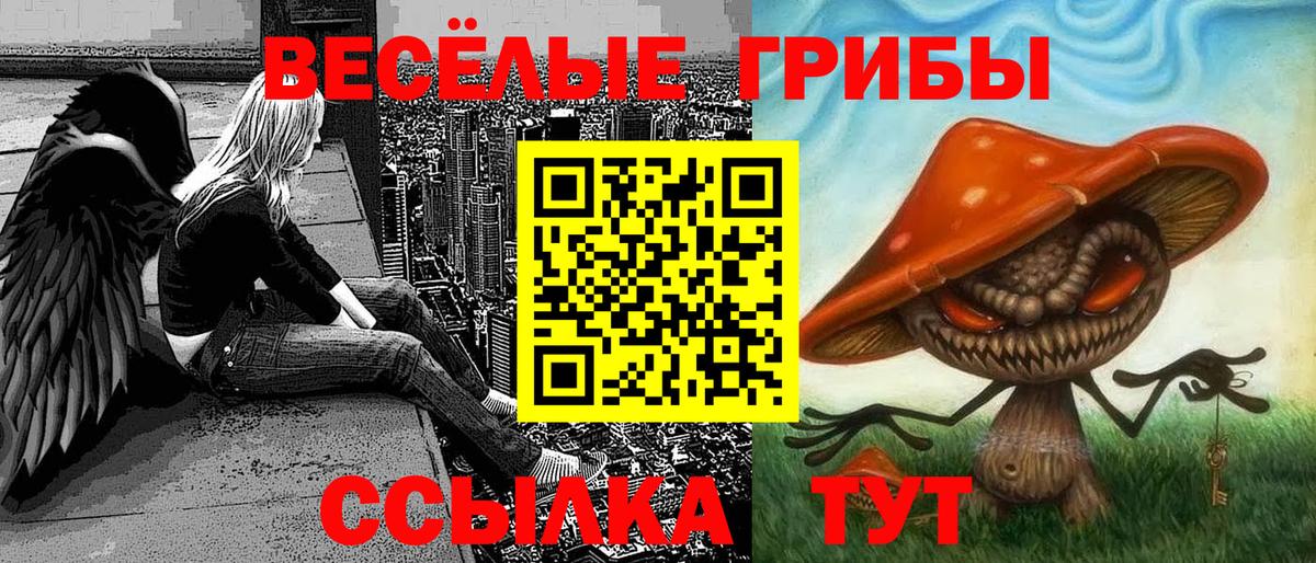 Галлюциногенные грибы Magic Shrooms Азов