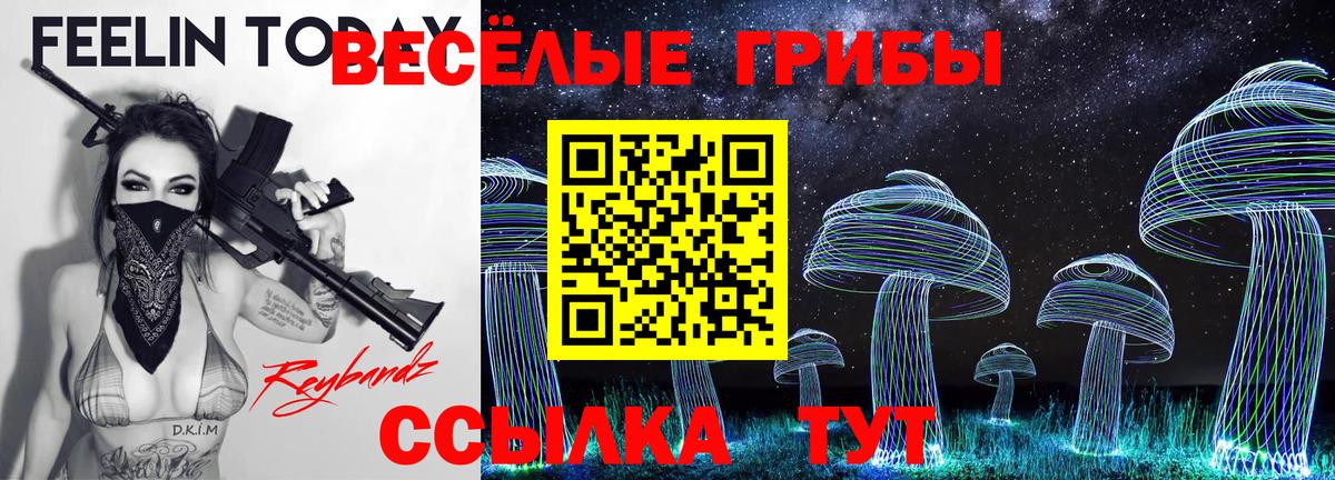 Псилоцибиновые грибы Cubensis  Вход с VPN  Азов  Псилоцибиновые грибы Cubensis 